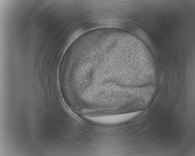 X0000080111283200612301934