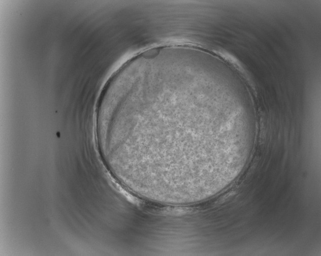 X0000080111286200612301934