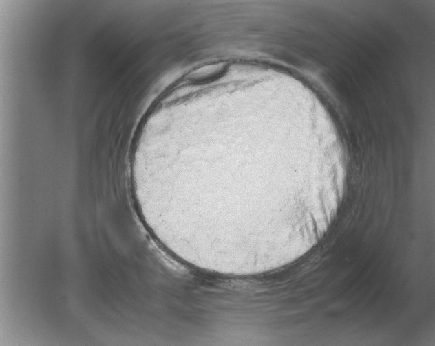 X0000080111287200612301934