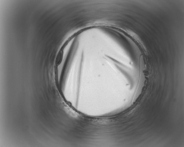 X0000080111288200612301934