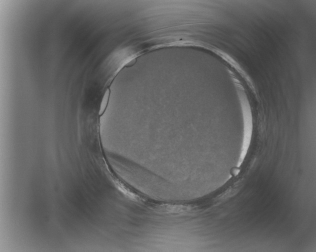 X0000080111289200612301934