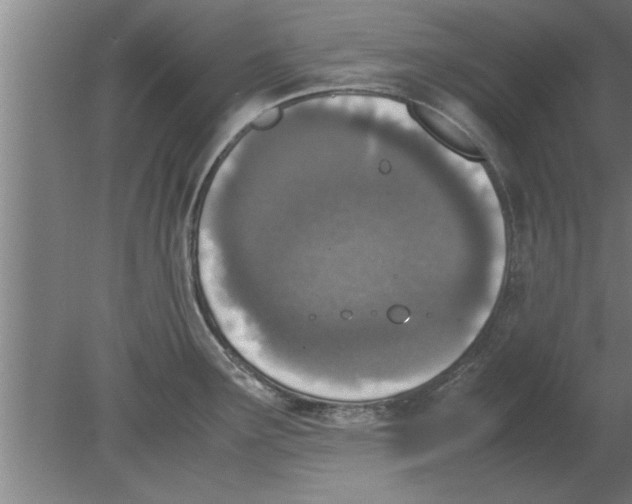 X0000080111291200612301934