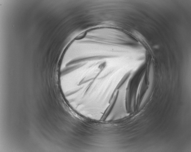 X0000080111292200612301934