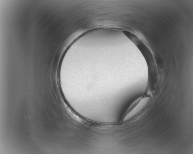 X0000080111293200612301934