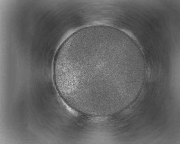 X0000080111294200612301934