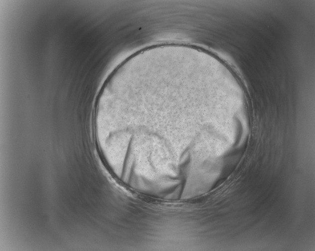 X0000080111295200612301934