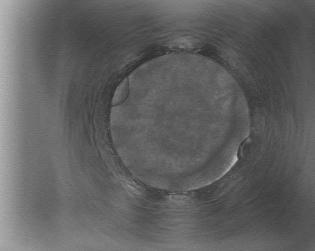 X0000080111297200612301933