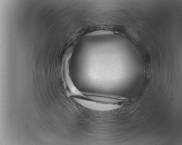 X0000080111298200612301933