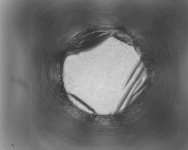 X0000080111301200612301933