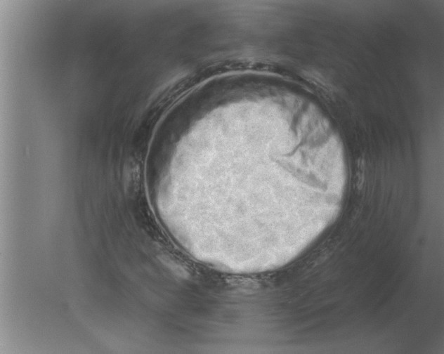 X0000080111302200612301933