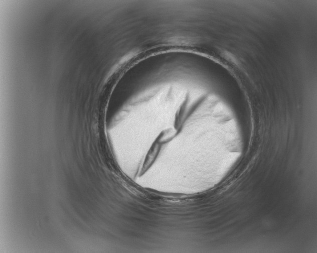 X0000080111307200612301933