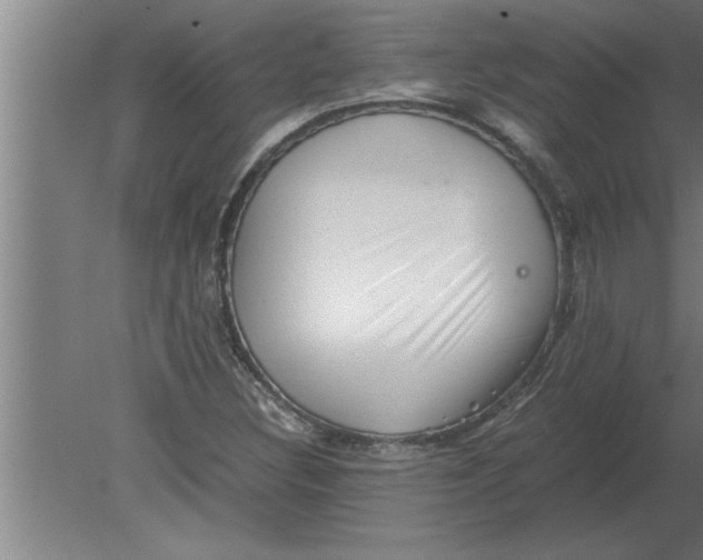 X0000080111308200612301933