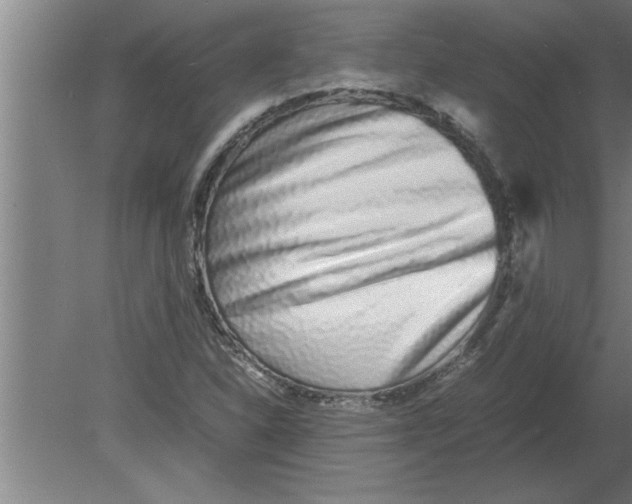 X0000080111310200612301933