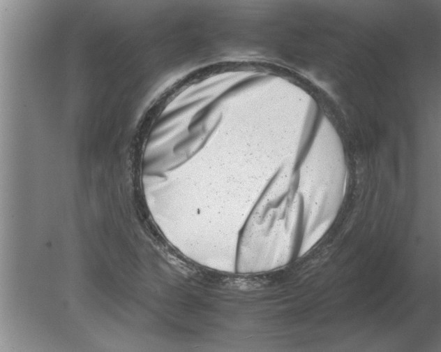 X0000080111311200612301933