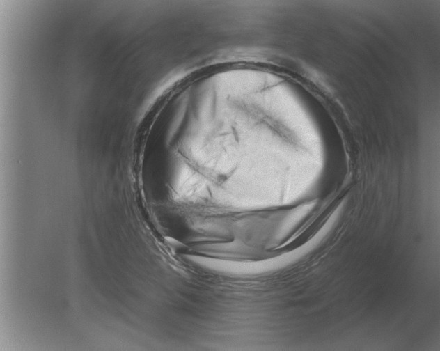 X0000080111312200612301933