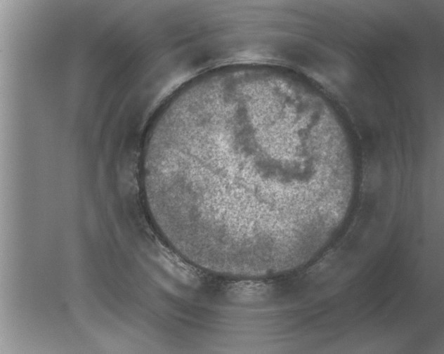 X0000080111314200612301933