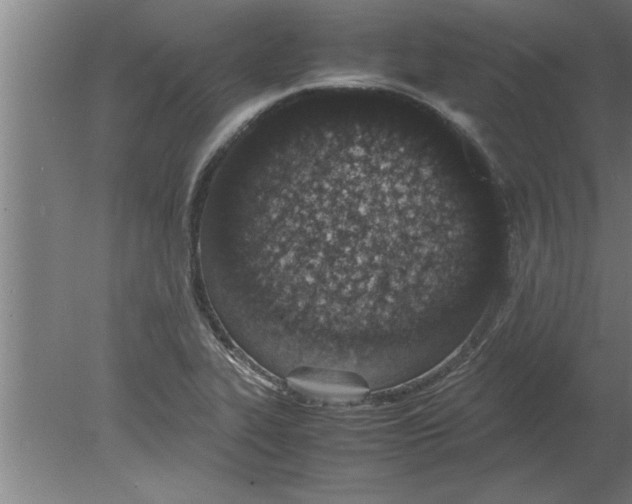 X0000080111319200612301933