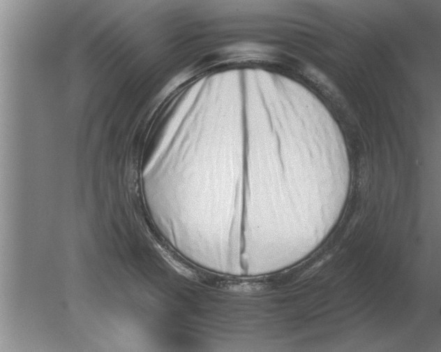 X0000080111321200612301933