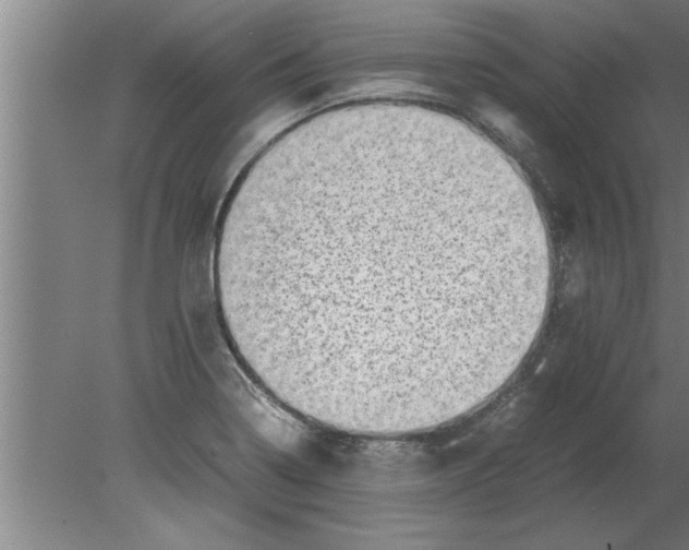 X0000080111322200612301933