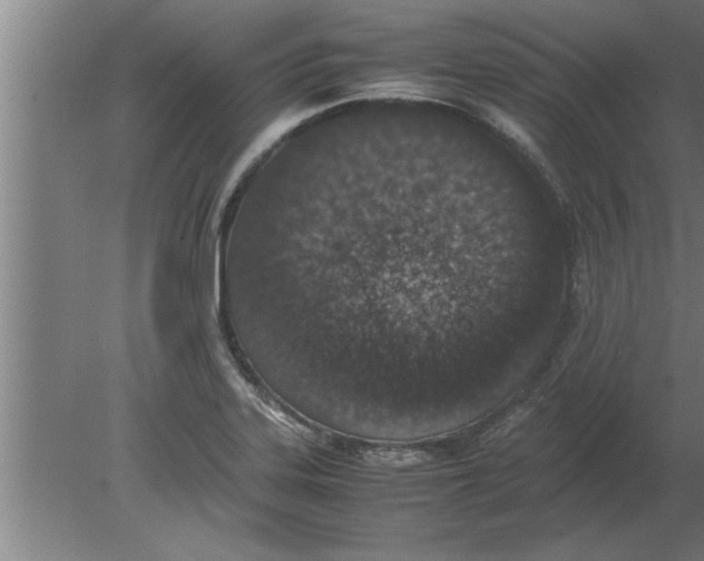 X0000080111323200612301933