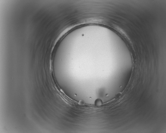 X0000080111324200612301933