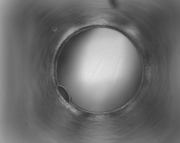 X0000080111326200612301933