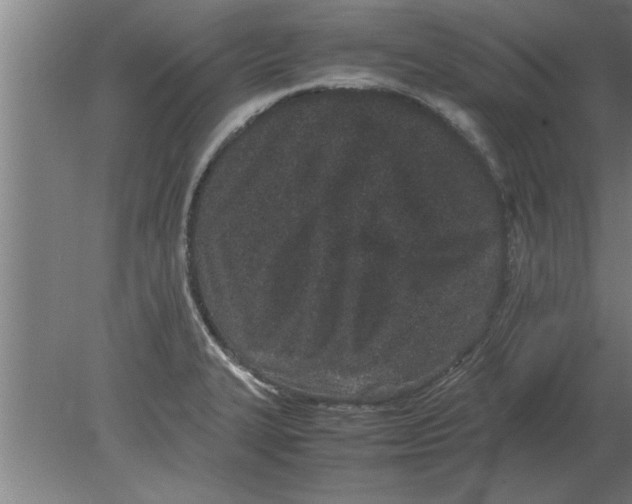 X0000080111327200612301934