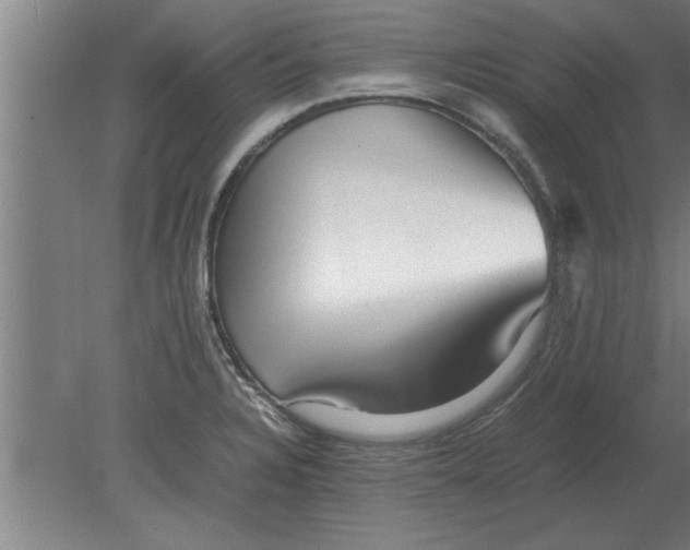 X0000080111328200612301934