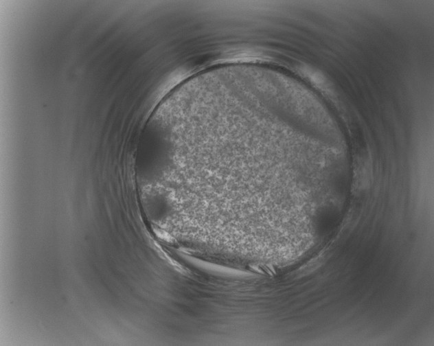 X0000080111329200612301934