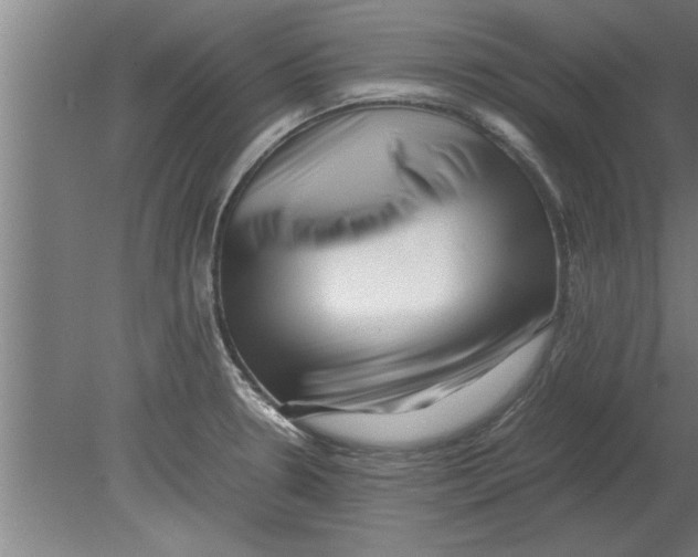 X0000080111330200612301934