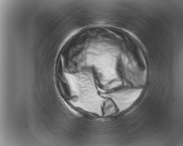 X0000080111333200612301934