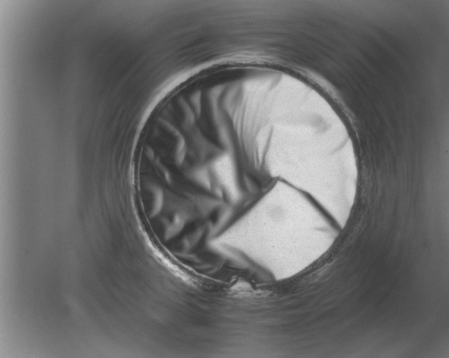 X0000080111335200612301934