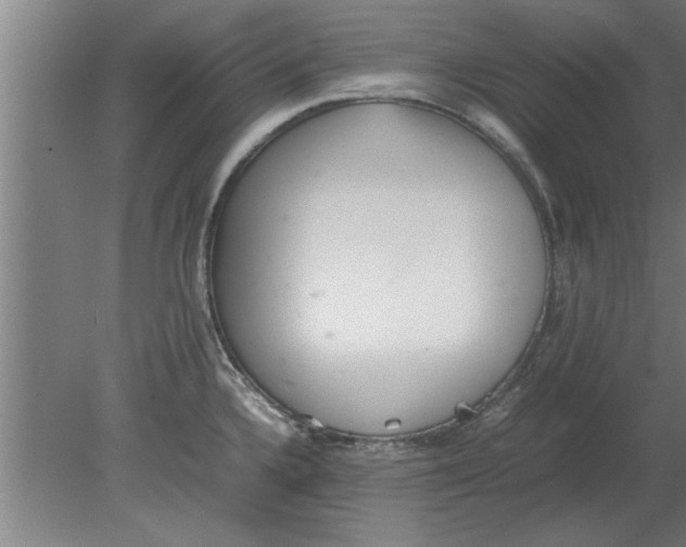 X0000080111336200612301934