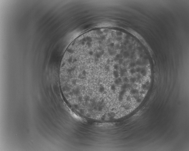 X0000080111337200612301934