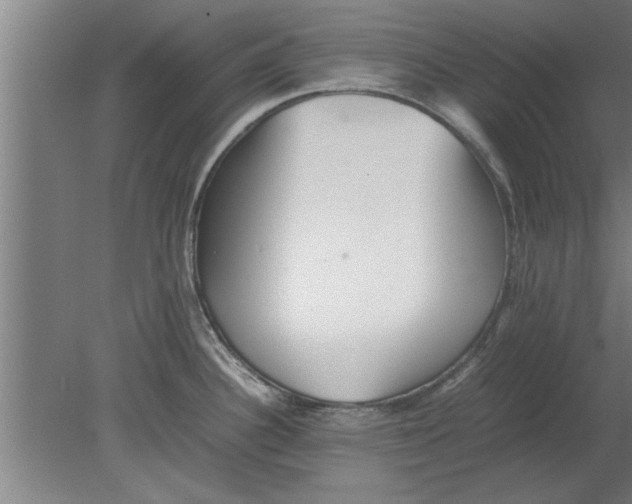 X0000080111340200612301934