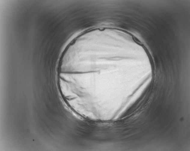 X0000080111341200612301934