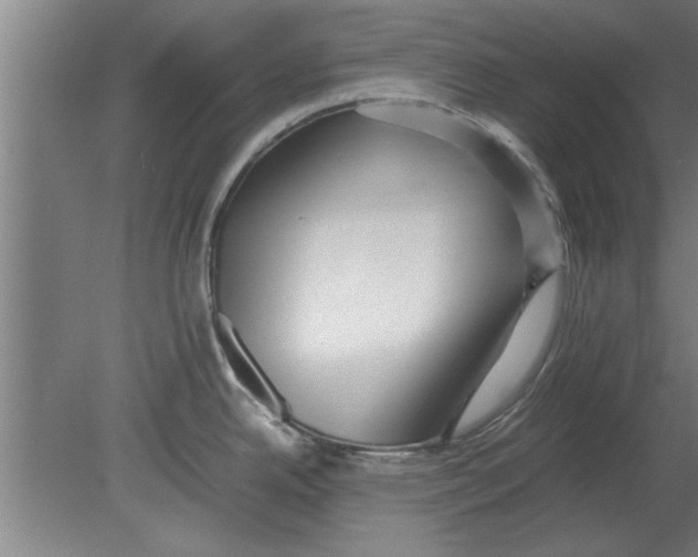 X0000080111342200612301934