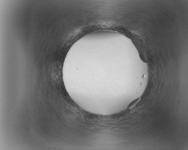 X0000080111349200612301933