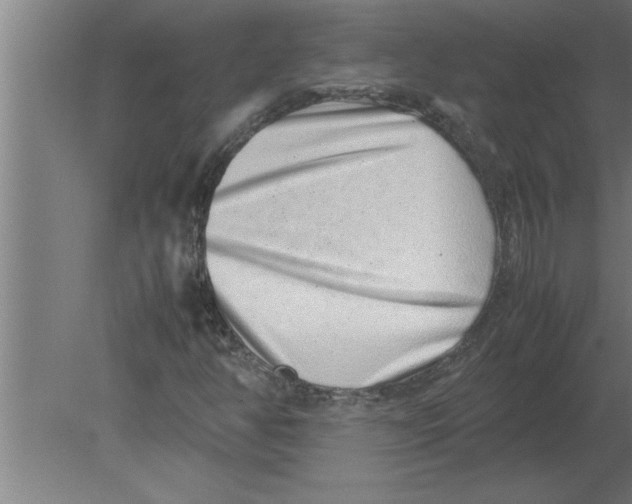 X0000080111350200612301933