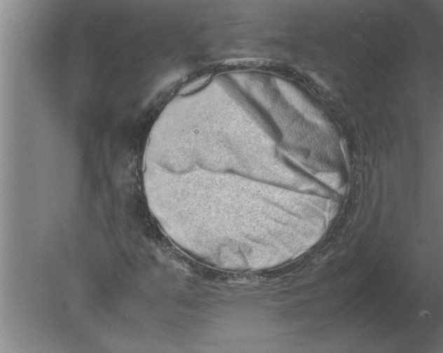 X0000080111351200612301933