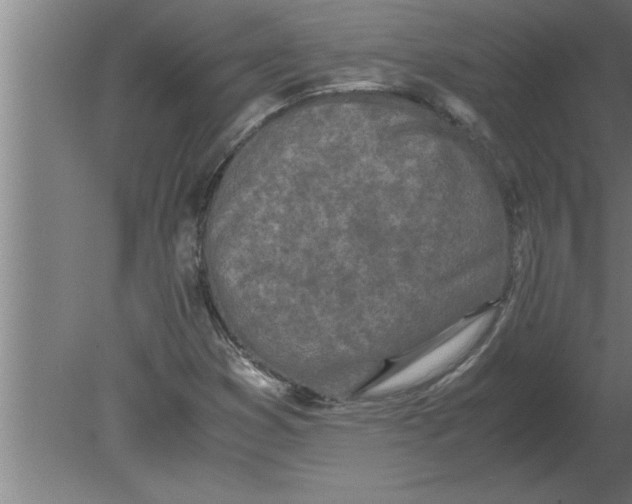 X0000080111353200612301933