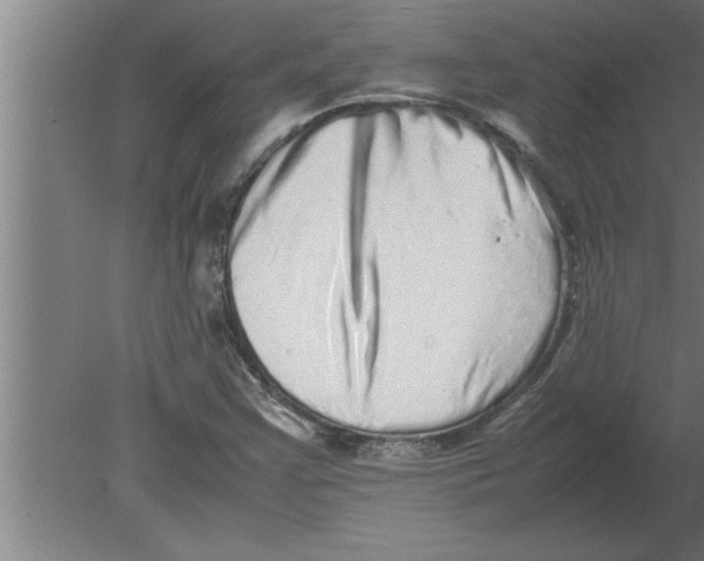 X0000080111355200612301933