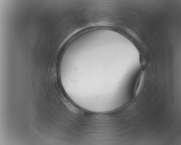 X0000080111356200612301933