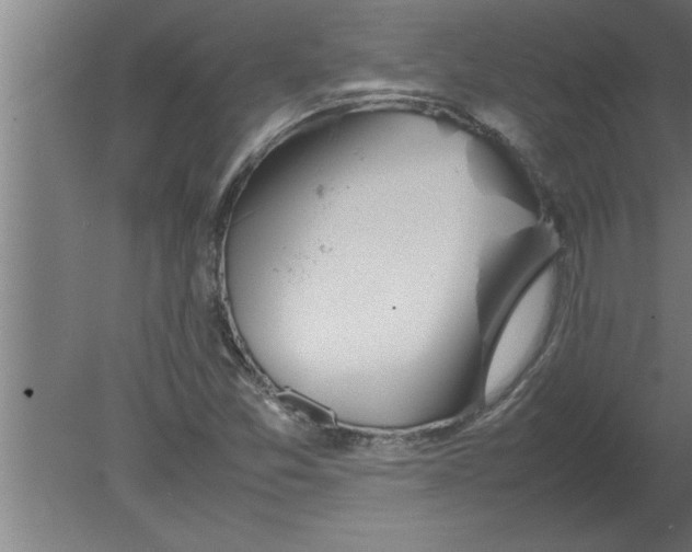 X0000080111357200612301933