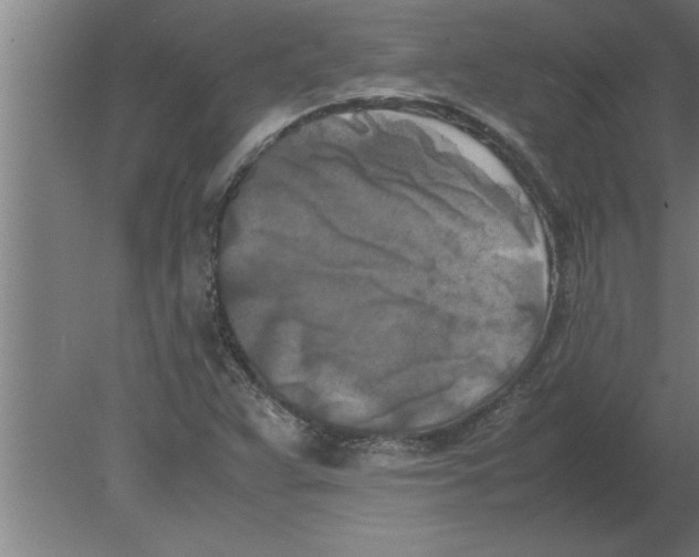 X0000080111359200612301933