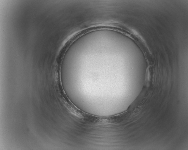 X0000080111360200612301933