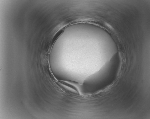 X0000080111361200612301933