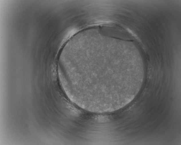 X0000080111362200612301933