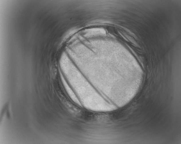 X0000080111363200612301933