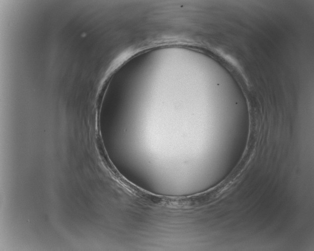 X0000080111365200612301933